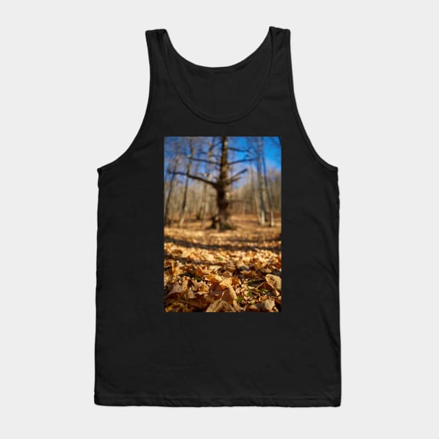 Macro on leaves with selective focus Tank Top by naturalis